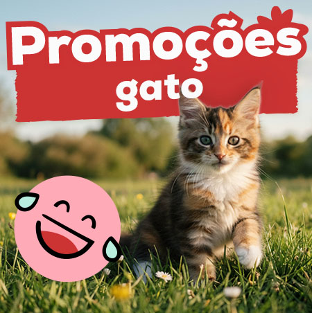 Promoções para gato