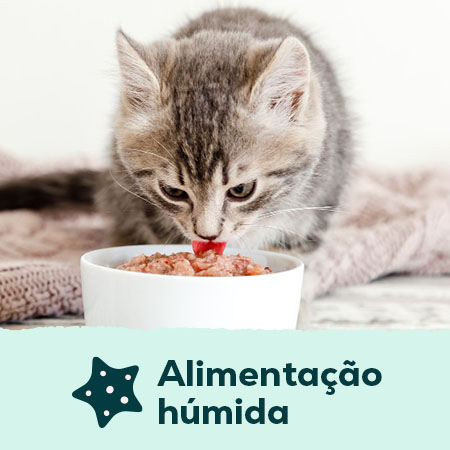 Comida húmida para cáes e gatos