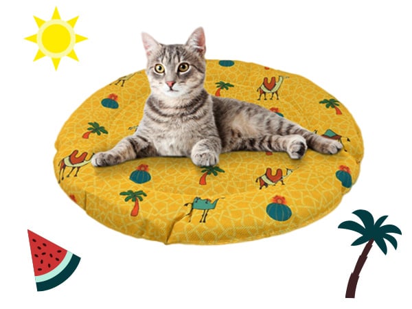 Tapetes e bandanas refrescantes para cães e gatos