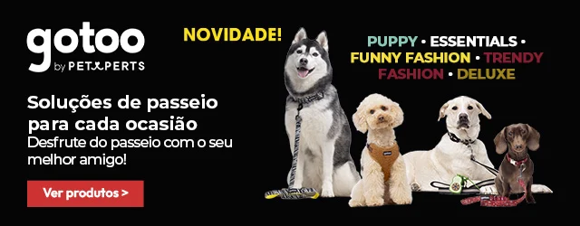 Gotoo: Desfrute do passeio com o seu melhor amigo