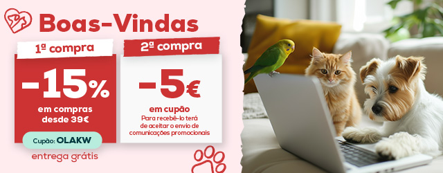 Boas Vindas