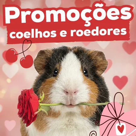 Ofertas para conejos y roedores