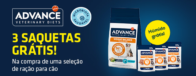 Advance: Alimentação húmida de oferta numa seleção de ração para cão Advance: Alimentação húmida de oferta numa seleção de ração para cão