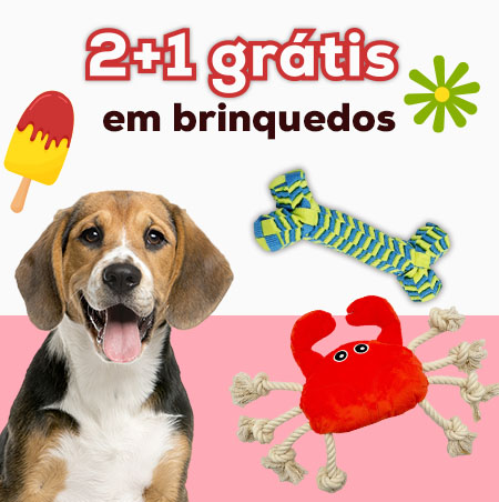 Diversão sem fim: 3 x 2 numa seleção de brinquedos