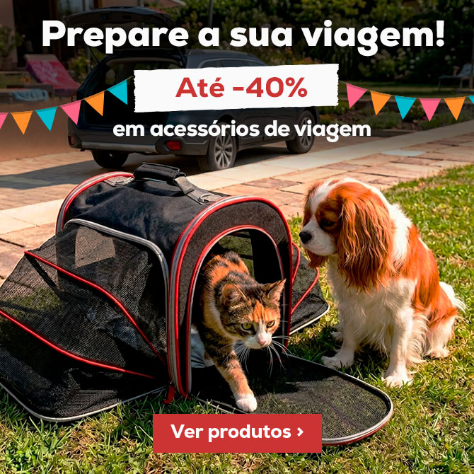 Prepare a sua viagem com os melhores acessórios