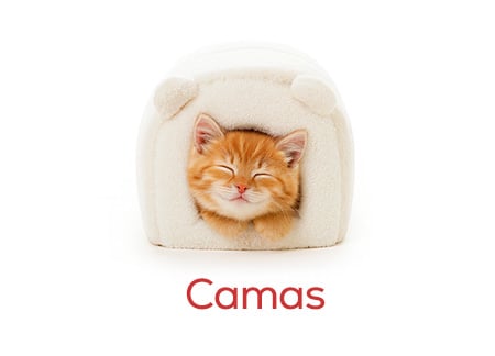 Camas para gatinho