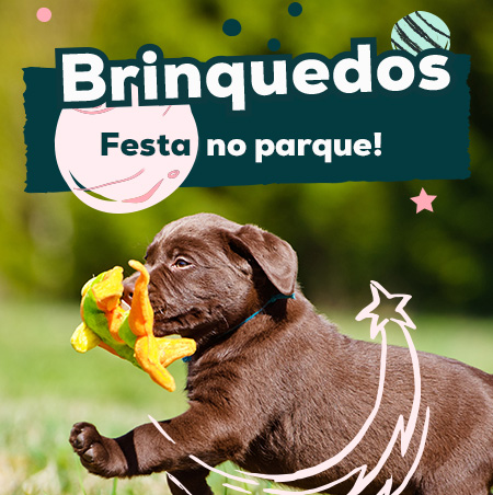 Promoções em brinquedos
