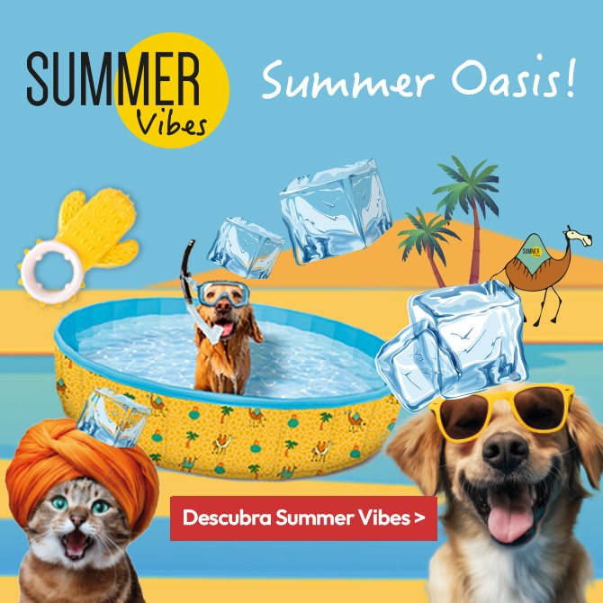 Os melhores acessórios para os manter fresquinhos este verão