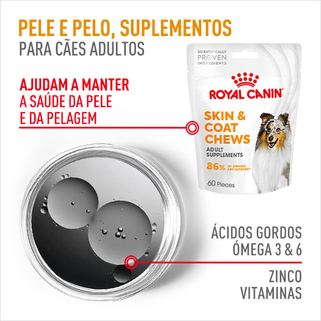 Pele e Pelo. Suplementos para cão adulto que ajudam a manter a saúde da pele e pelo