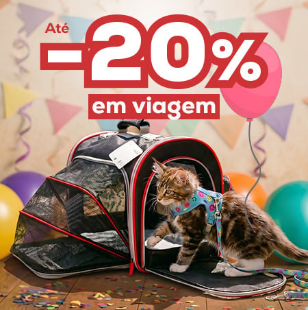 Acessórios para gatos: prepare a sua viagem!