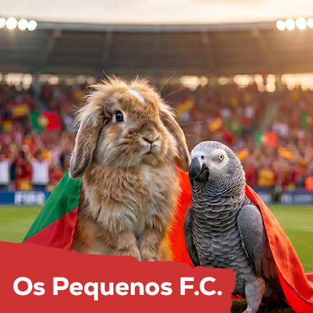 Seleção de futebol dos pequenos animais