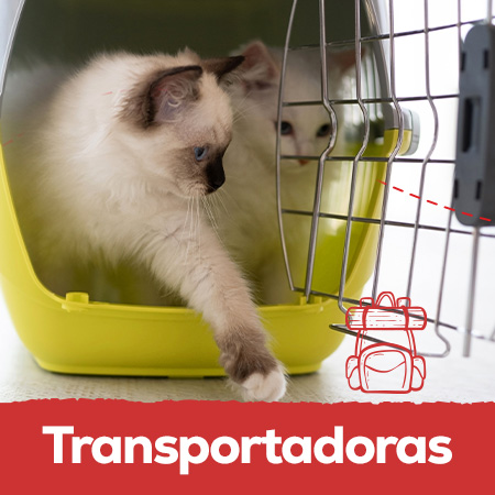 Transportadoras