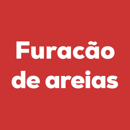 Furacão de areias: aproveite os melhores descontos nas melhores areias para o seu gato