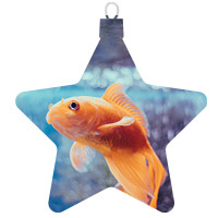 Peixes