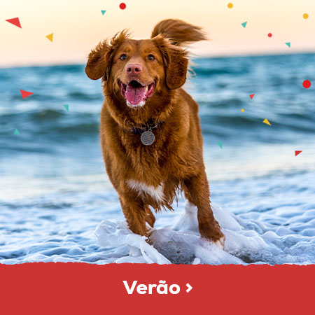 verão