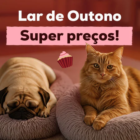 Super preços em seleção de acessórios de outono para o lar Super preços em seleção de acessórios de outono para o lar