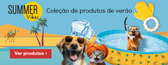 Summer Vibes: Desfrute de um bom mergulho este verão