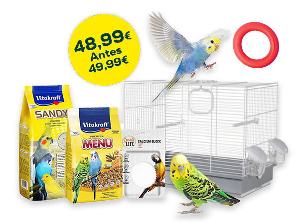 Kit Periquito