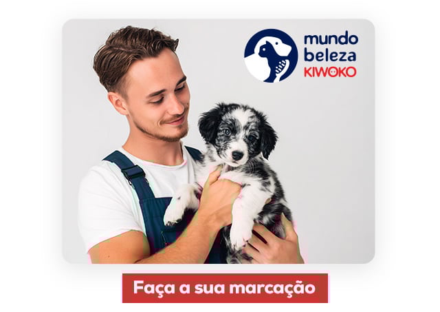 Centros de grooming Mundo Beleza. Encontre o mais próximo e faça marcação para uma primeira visita