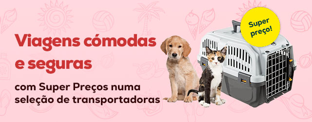 Viaje com conforto e segurança: Super preços em transportadoras