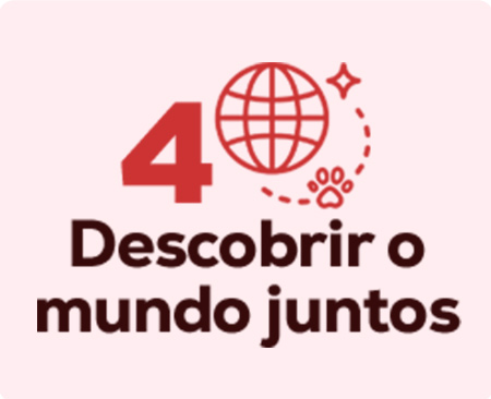 Tudo o que precisa para descobrir o mundo ao lado do seu novo amigo. Saídas juntos