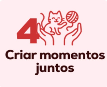 Tudo o que precisa para criar momentos inesquecíveis com o seu gatinho