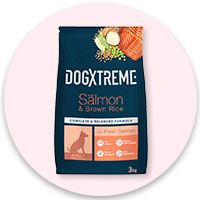 Dogxtreme
