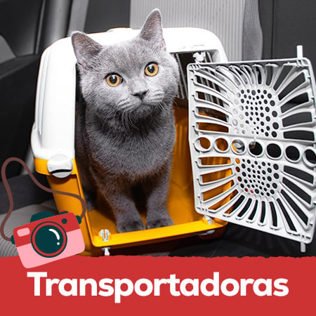 Transportadoras