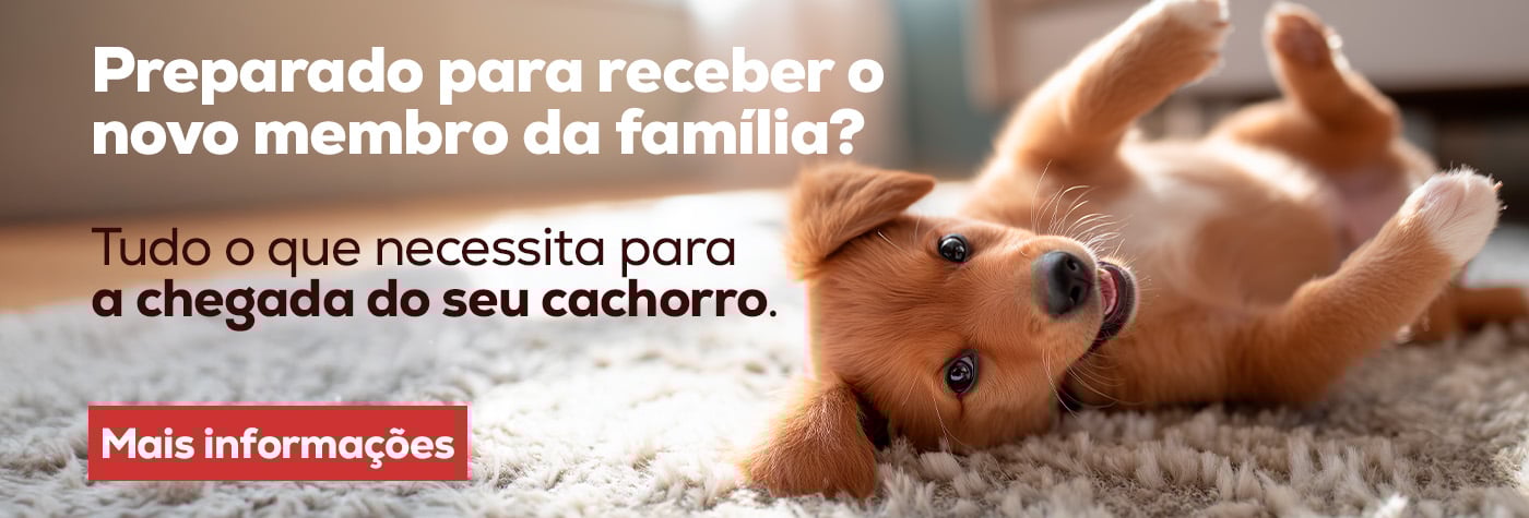 Checklist com tudo o que é necessário para os primeiros dias do cachorro