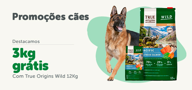 Loja caes online clearance