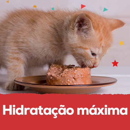 Comida húmida: Até -30% numa seleção de comida húmida para cão e gato