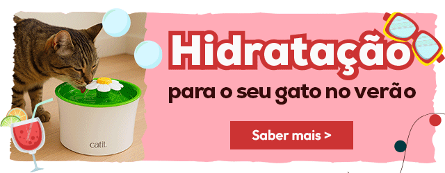 hidrate o seu gato neste verão