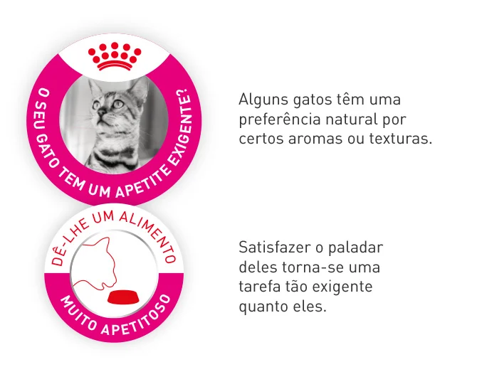 Escolha Royal Canin Exigent Savour quando satisfazer o paladar do seu gato é uma tarefa exigente devido às suas preferências de texturas e/ou aromas.