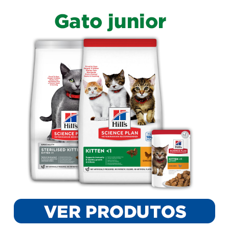 Descubra a alimentação mais adequada para o seu gato junior Hill's Science Plan