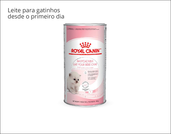 Leite para gatinhos desde o nascimento