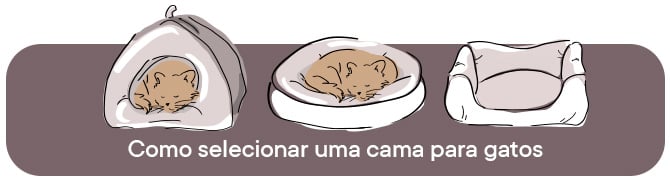 Como escolher a melhor cama para o seu Amigo 