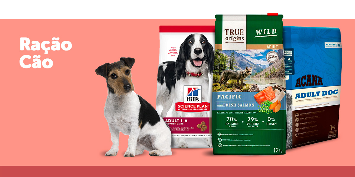 Alimentação para cão