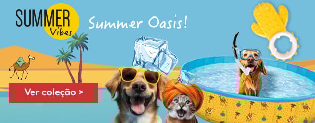 Summer Vibes: Desfrute de um bom mergulho este verão