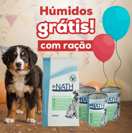 Comida húmida de oferta na seleção de rações veterinárias para cães