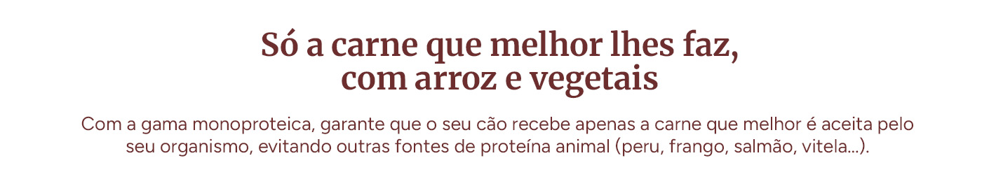 Apenas a carne que lhes faz bem, com arroz e vegetais.