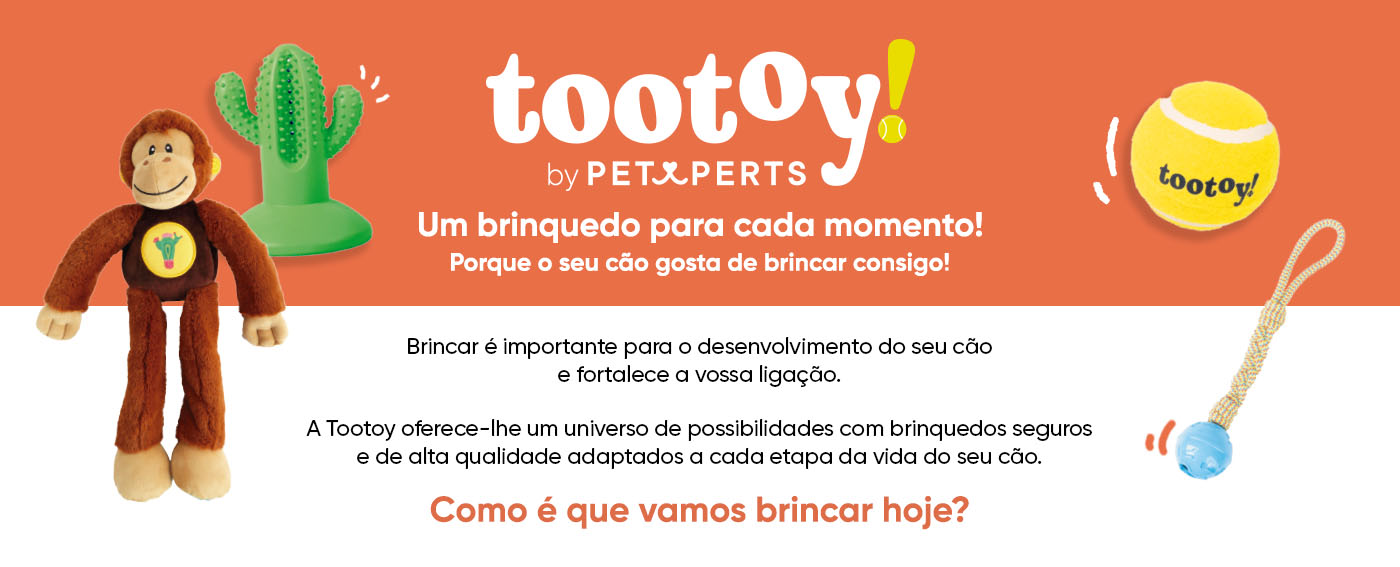 Tootoy