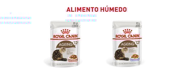 Royal Canin Senior. Encontre a comida húmida que melhor se adapta ao seu gato senior.