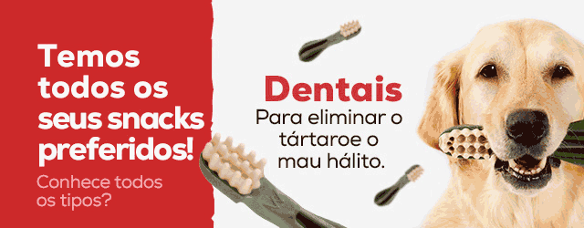 Conhece todos os tipos do snacks?
