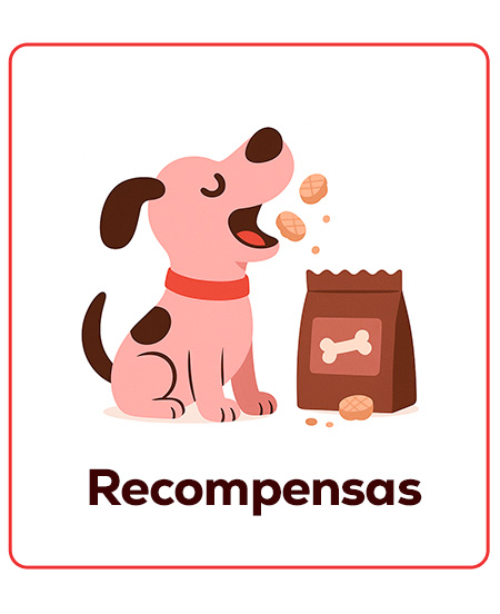 Recompensas e prémios para começar o treino desde o primeiro dia