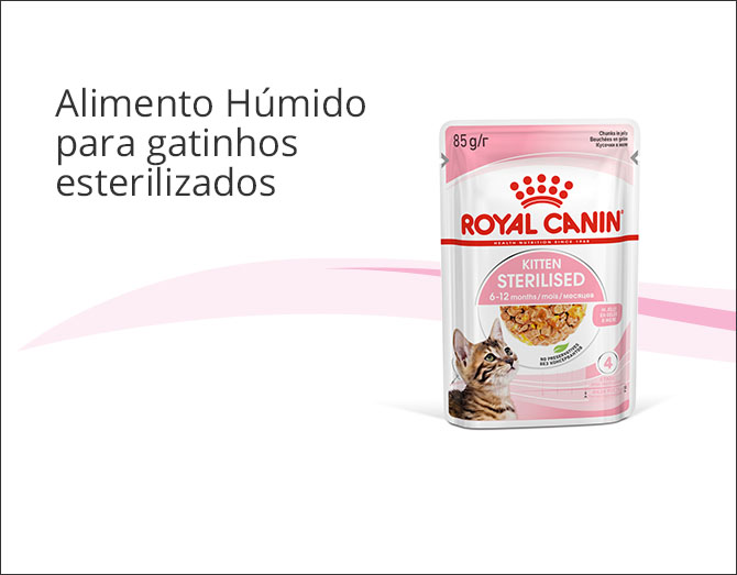 Royal Canin Kitten Sterilised alimentação húmida em gelatina