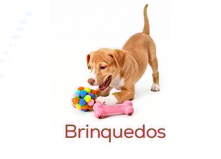 Brinquedos para cachorros