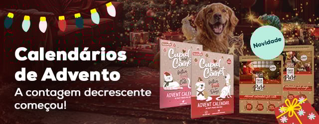 Calendário do advento