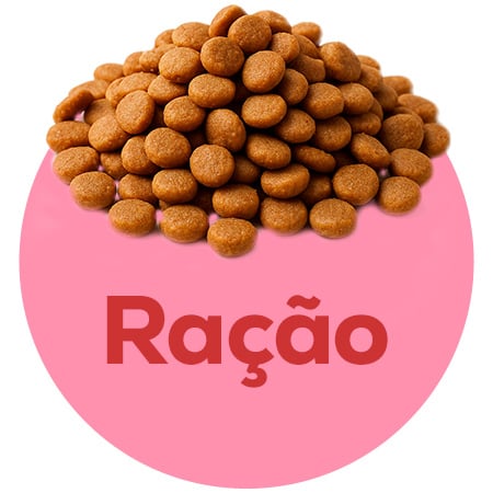 Ração específica para gatinhos