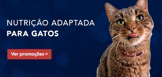 Hill’s: Nutrição adaptada para gato