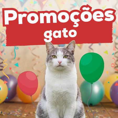 Promoções para gato